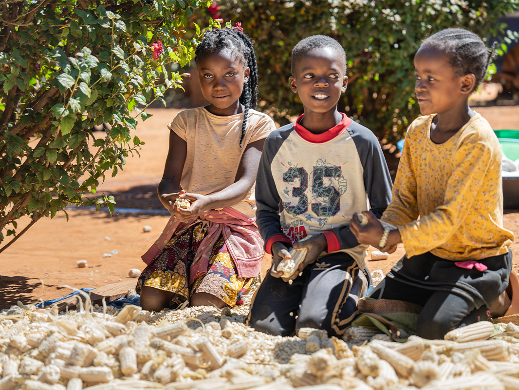 Plant Hope: Harvest Change in Zambia Help mothers in Zambia feed…